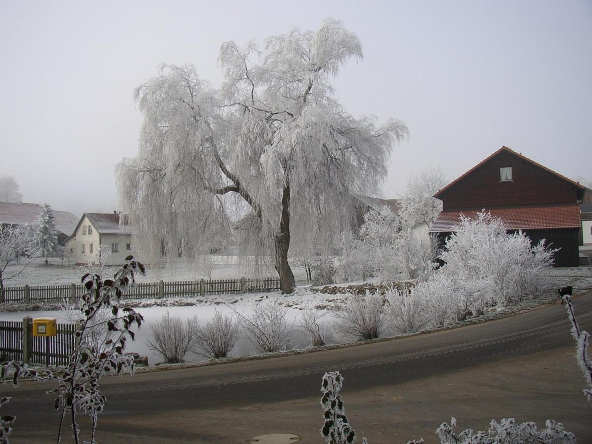 Gasthaus Zur Waldesruh Waffenbrunn Buitenkant foto