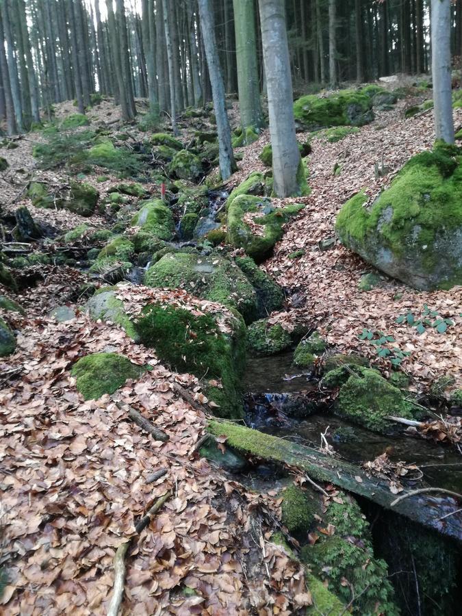 Gasthaus Zur Waldesruh Waffenbrunn Buitenkant foto