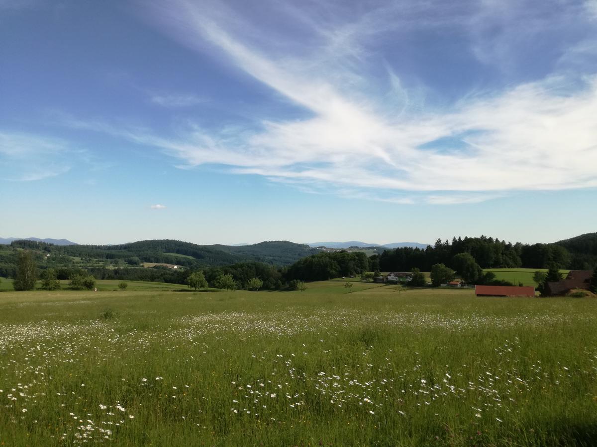 Gasthaus Zur Waldesruh Waffenbrunn Buitenkant foto